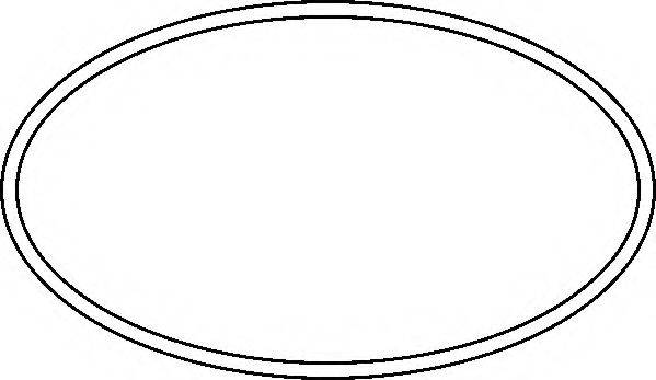 ELRING 389370 Прокладка корпус впускного колектора