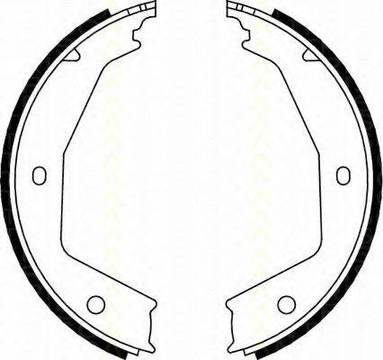 TRISCAN 810010629 Комплект гальмівних колодок, стоянкова гальмівна система