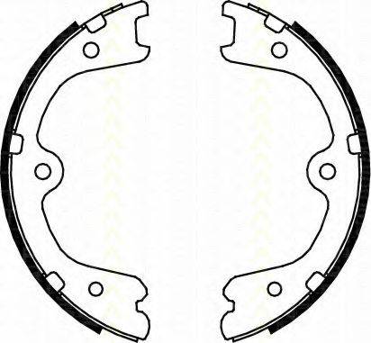 TRISCAN 810014009 Комплект гальмівних колодок, стоянкова гальмівна система
