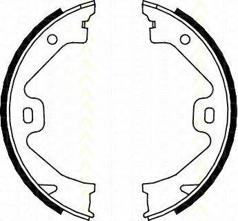 TRISCAN 810017011 Комплект гальмівних колодок, стоянкова гальмівна система