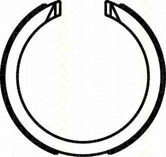 TRISCAN 810021003 Комплект гальмівних колодок, стоянкова гальмівна система