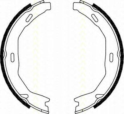 TRISCAN 810023029 Комплект гальмівних колодок, стоянкова гальмівна система