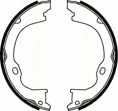 TRISCAN 810080011 Комплект гальмівних колодок, стоянкова гальмівна система