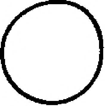 CORTECO 450561H Прокладка, впускний колектор