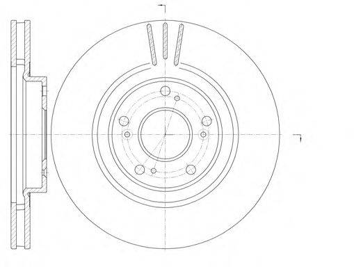 ROADHOUSE 676310 гальмівний диск