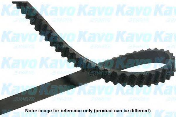 KAVO PARTS DTB8522 Ремінь ГРМ