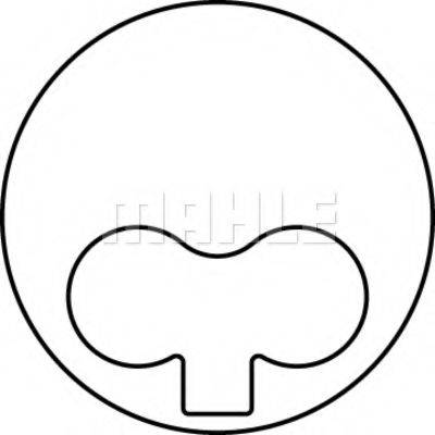 MAHLE ORIGINAL 6811300 Поршень