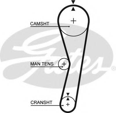 GATES 5024 Ремінь ГРМ