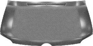 VAN WEZEL 3076670 Капот двигуна