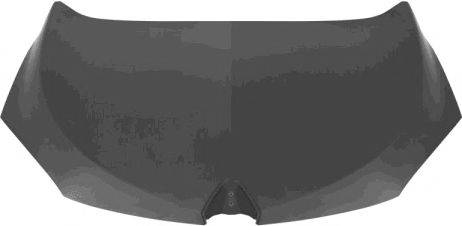 VAN WEZEL 4377660 Капот двигуна