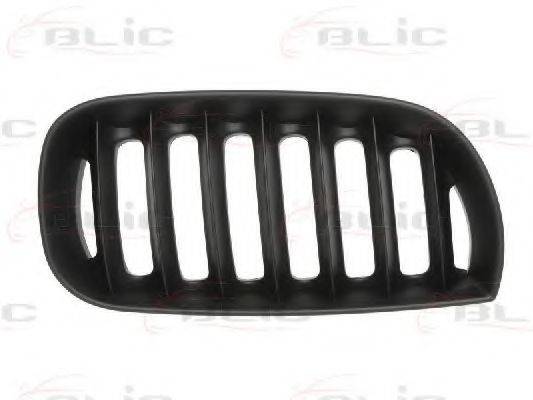 BLIC 6502070093996P решітка радіатора