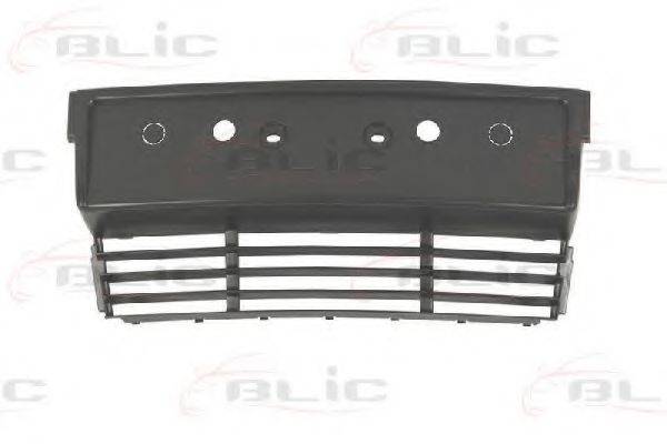 BLIC 6509010057920P Кронштейн щитка номерного знаку