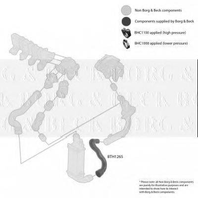 BORG & BECK BTH1265 Трубка повітря, що нагнітається