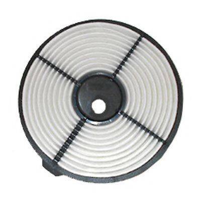 FI.BA FA219 Повітряний фільтр