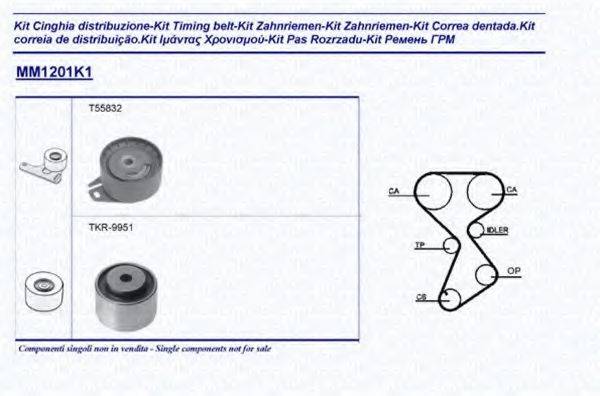 MAGNETI MARELLI 341312011101 Комплект ременя ГРМ